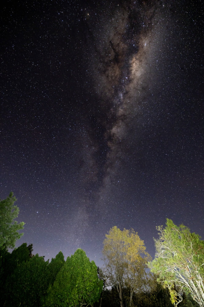 Fernwood Chalet 5 2024 Milky Way 2